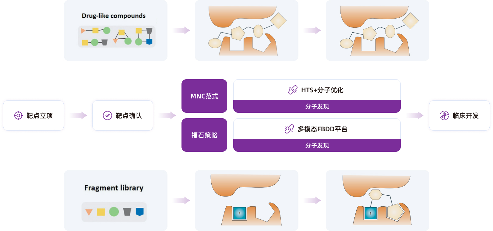 福石立足分子发现核心技术平台创新